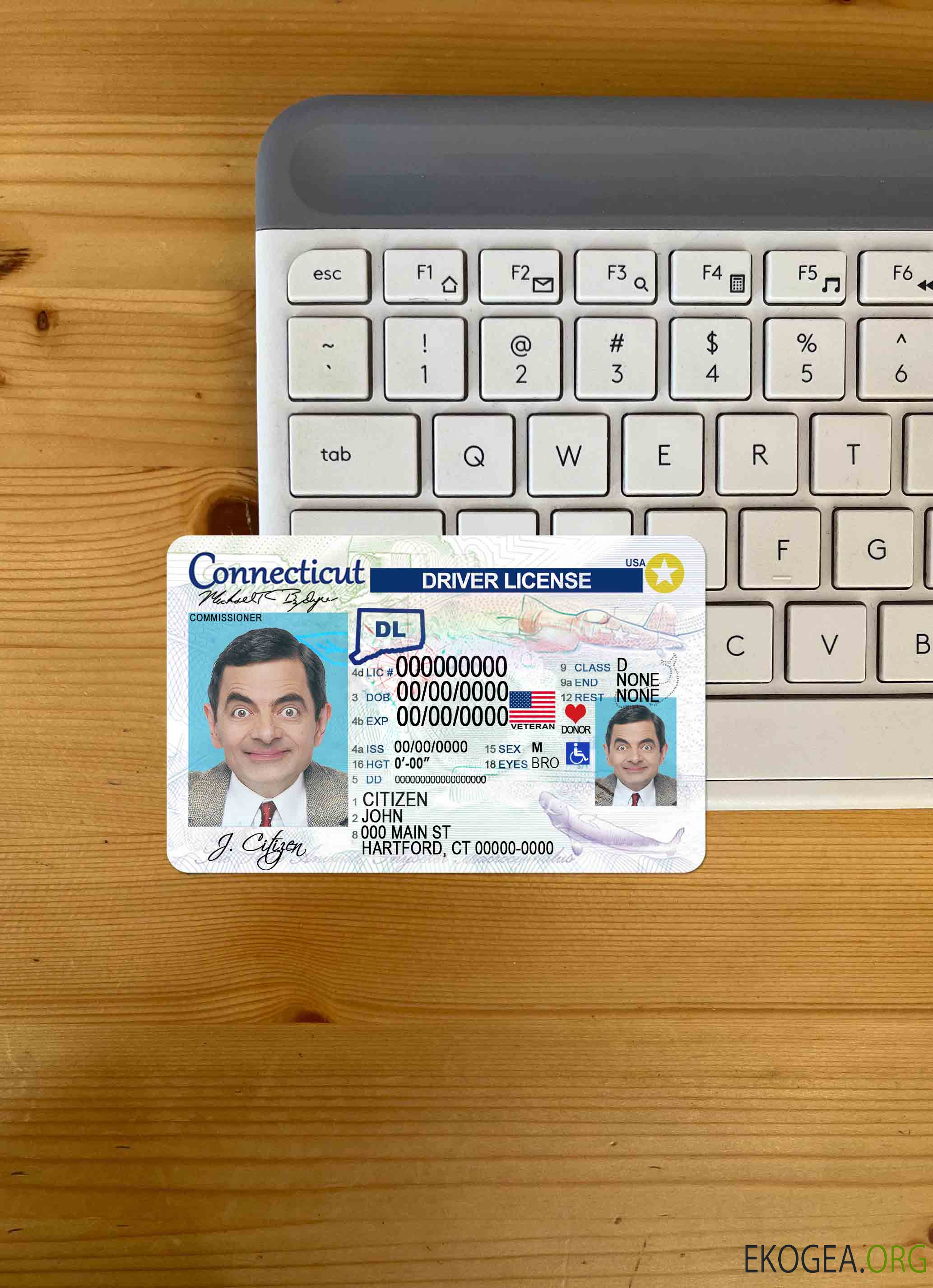 USA Connecticut DL photolook AVANT